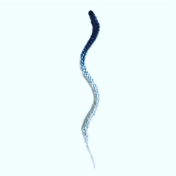 braidmania
