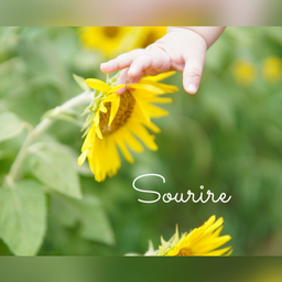 sourire