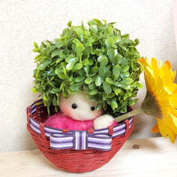craftmelon