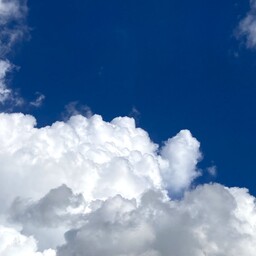 Cloud9