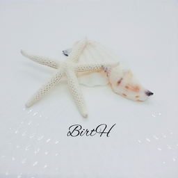 BirtH