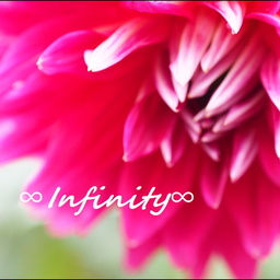 ∞Infinity∞