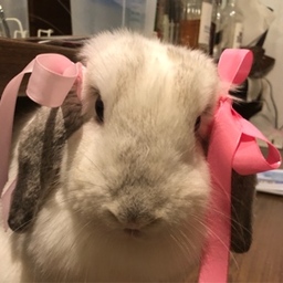 sumiちゃん