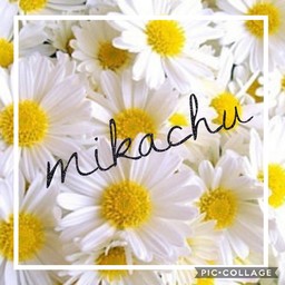 mikachu