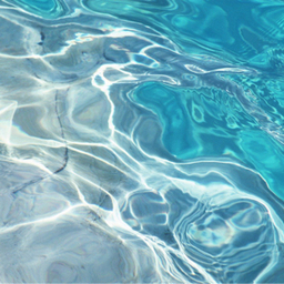 jelly-fish0