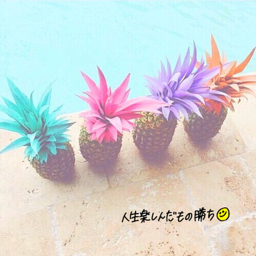 1026abc