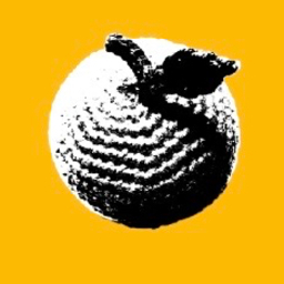 橙ヒロコ
