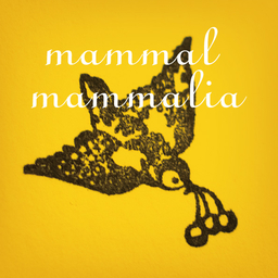 mammal mammalia