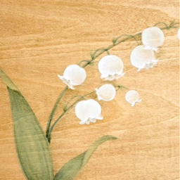 hanabiyori 