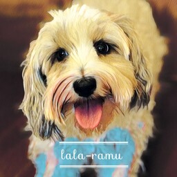 lala-ramu