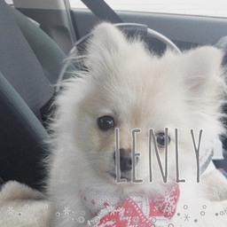 LENLY