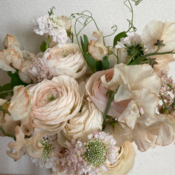 peonyflower1