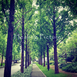 healing interior