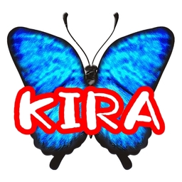 ＊KIRA＊