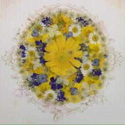 Casa de la flor
