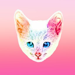 Rock cat