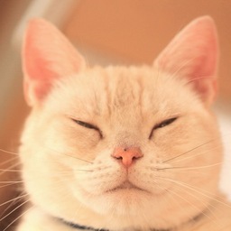 roux