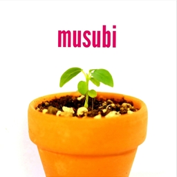 musubi (ムスビ)