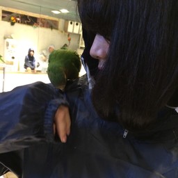 かよし