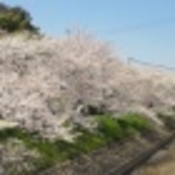 ことこっとん