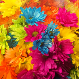 Flowereast