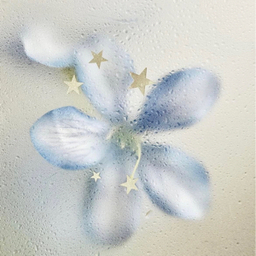   花