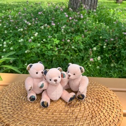Piggy Bears