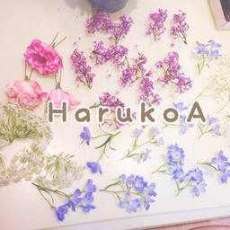 HarukoA