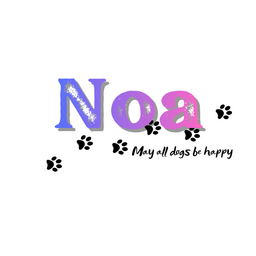 Noa