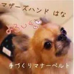 マザーズハンドはな・手作りマナーベルト