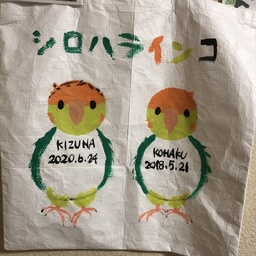 kohakizu 