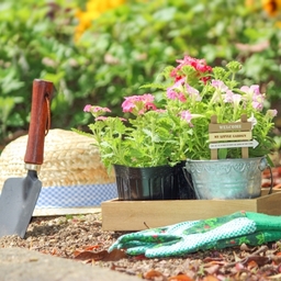 FlowerBeds