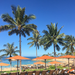 ayaahawaii