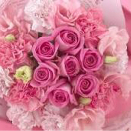 アトリエ イクコ