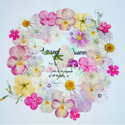 lavender♡
