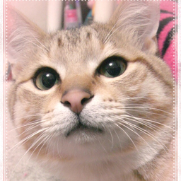 mirinaco