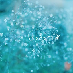 irodori＊