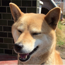 kurumi0310