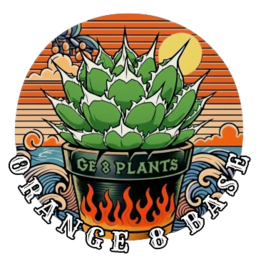 orange8base