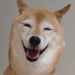 虹心