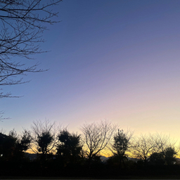 utarun8