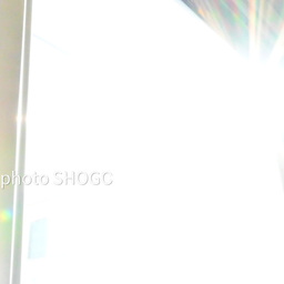 iyashiphoto