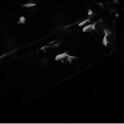y2