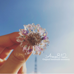 Ame812.