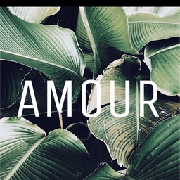 AMOUR