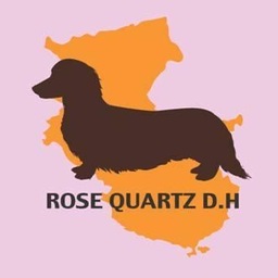 ダックスの服屋☆rosequartz10