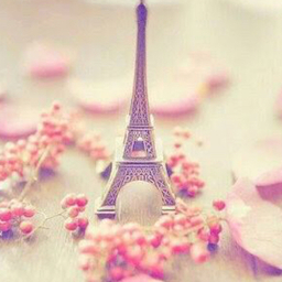 petit cochon☆