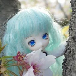 miya-koya
