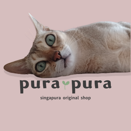 lei-singa