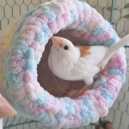 毛糸の鳥の巣